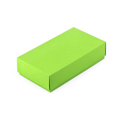 Pastellgrüne zweiteilige Karton-Geschenkbox | 200x110x50 mm | Superbox
