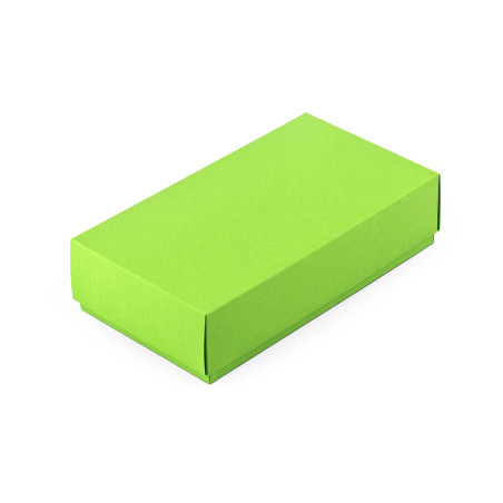 Pastellgrüne zweiteilige Karton-Geschenkbox | 200x110x50 mm | Superbox