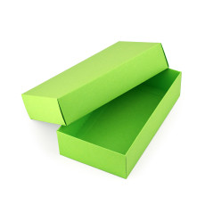 Pastellgrüne zweiteilige Karton-Geschenkbox