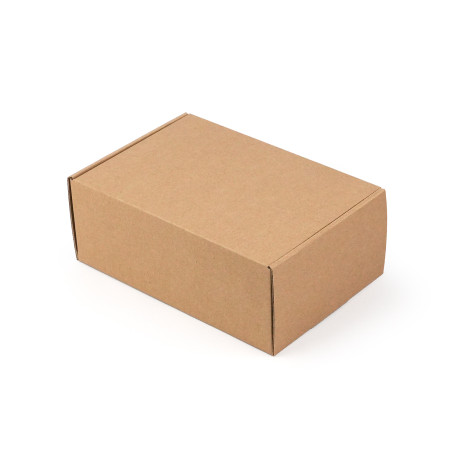 Schnellverschluss-Versandbox | 205x140x80 mm | Superbox