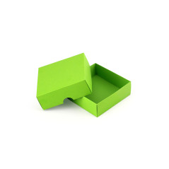 Zweiteilige kleine quadratische hellgrüne Kartongeschenkbox