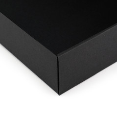 Große schwarze Schnellverschluss-Box, 437x252x67 mm