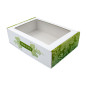 Christmas Box with Green Pinecones