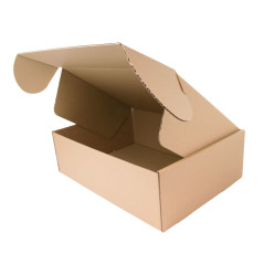 Große Schnellverschluss-Versandbox