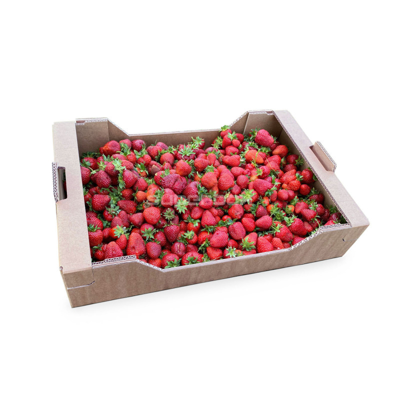 Wellpappenschale für Obst und Gemüse