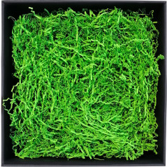 Standžios žalios popieriaus drožlės - 2 mm, 1 kg
