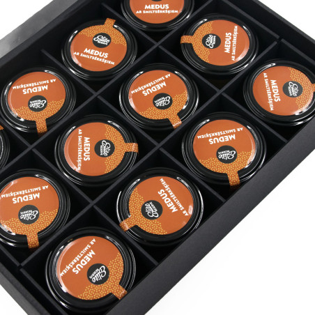 Schwarzes 12-Fächer-Einsatz für 21509 Box