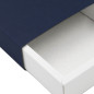 Kartonbox mit Blauem Sleeve | 195x148x48 mm | Superbox