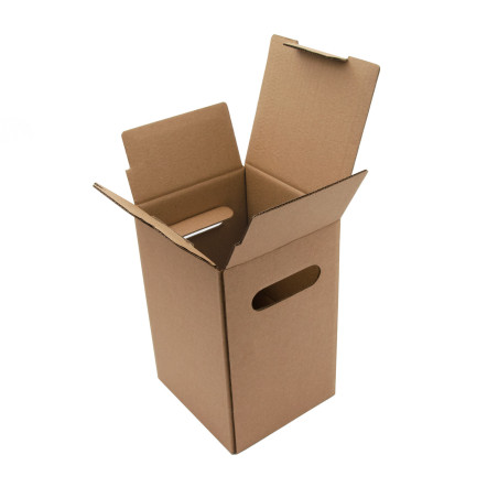 Kartonbox für Saftbeutel, 5 l