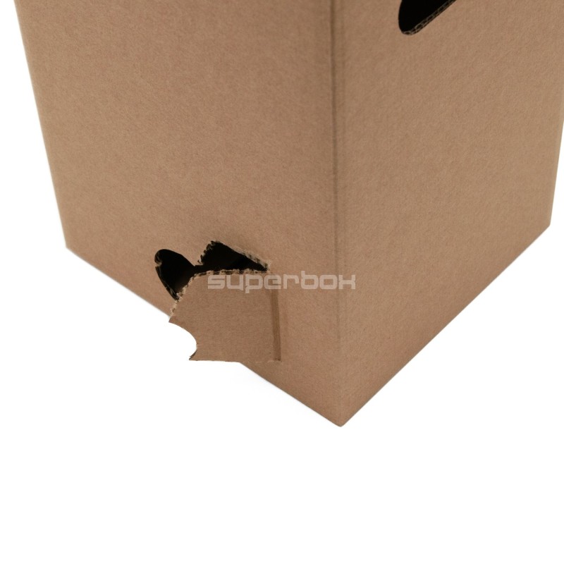 Kartonbox für Saftbeutel, 5 l