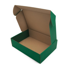 Öko-grüne A4-Premium-Box