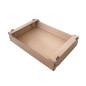 Tray for Fruits and Vegetables