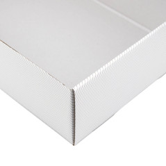 Weiße A4-Geschenkbox mit Goldlinien | 305x215x85 mm | Superbox