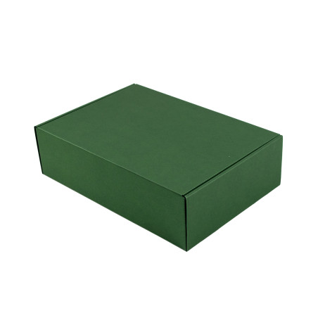 Grüne A4 Premium-Box | 305x215x85 mm | Superbox