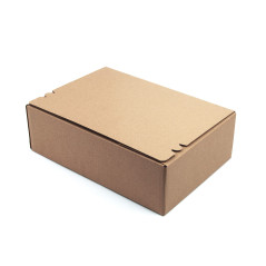 E-Commerce A4 Format Box mit Aufreiß- und Klebestreifen