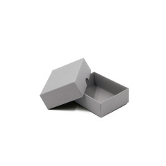 Zweiteilige kleine rechteckige Geschenkbox in grau aus Karton