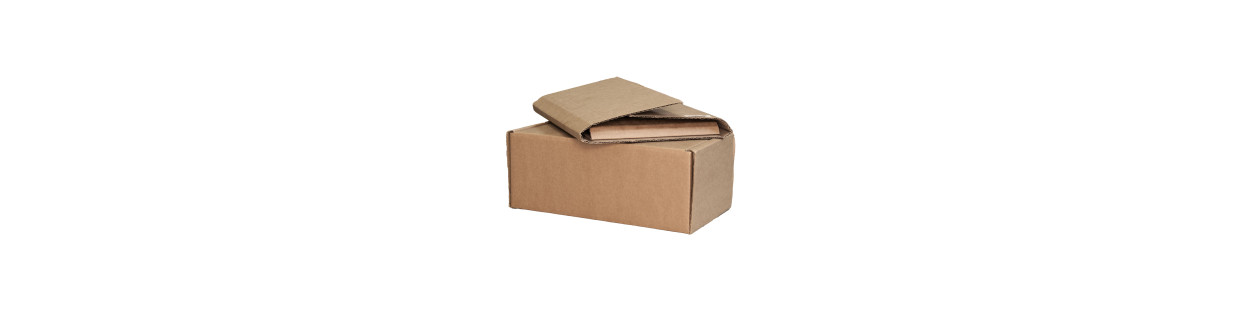 Versandkarton für Paketautomaten